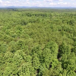 Photo #9 of SOLD property in Off Warminster Church Rd, Buckingham, VA 49.5 acres