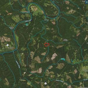 Photo #49 of SOLD property in Off Warminster Church Rd, Buckingham, VA 49.5 acres