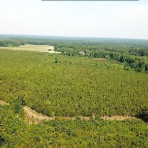 Photo #2 of SOLD property in Off Brink Road, Emporia, VA 190.0 acres