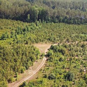 Photo #3 of SOLD property in Off Brink Road, Emporia, VA 190.0 acres