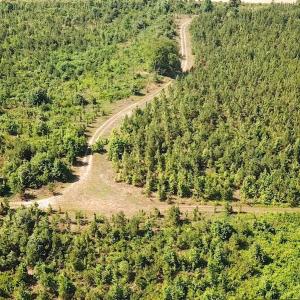 Photo #4 of SOLD property in Off Brink Road, Emporia, VA 190.0 acres