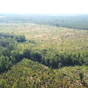 Photo #6 of SOLD property in Off Brink Road, Emporia, VA 190.0 acres