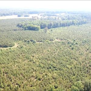Photo #7 of SOLD property in Off Brink Road, Emporia, VA 190.0 acres