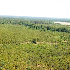 Photo #10 of SOLD property in Off Brink Road, Emporia, VA 190.0 acres