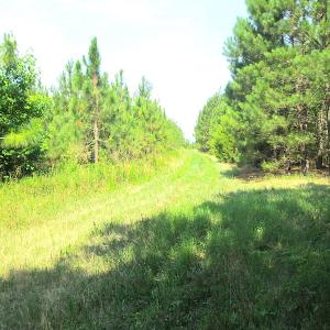 Photo #15 of SOLD property in Off Brink Road, Emporia, VA 190.0 acres