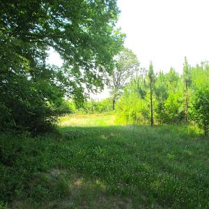 Photo #16 of SOLD property in Off Brink Road, Emporia, VA 190.0 acres