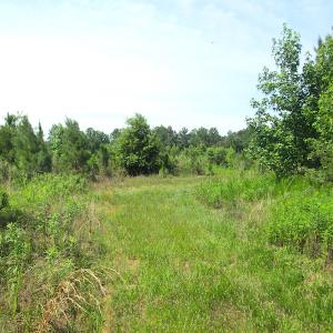 Photo #19 of SOLD property in Off Brink Road, Emporia, VA 190.0 acres