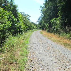 Photo #25 of SOLD property in Off Brink Road, Emporia, VA 190.0 acres