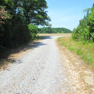 Photo #26 of SOLD property in Off Brink Road, Emporia, VA 190.0 acres