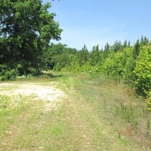 Photo #28 of SOLD property in Off Brink Road, Emporia, VA 190.0 acres