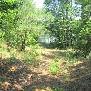 Photo #36 of SOLD property in Off Brink Road, Emporia, VA 190.0 acres