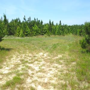 Photo #37 of SOLD property in Off Brink Road, Emporia, VA 190.0 acres