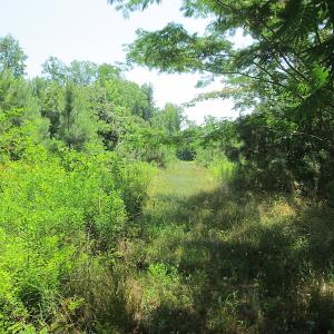 Photo #41 of SOLD property in Off Brink Road, Emporia, VA 190.0 acres
