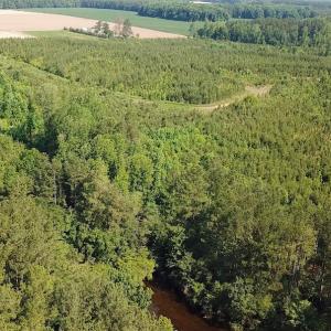 Photo #5 of SOLD property in Off Brink Road, Emporia, VA 97.0 acres