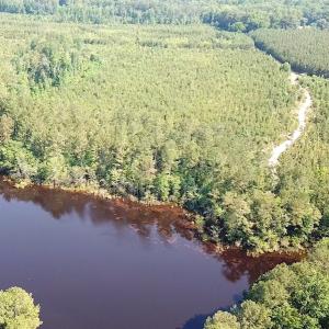 Photo #6 of SOLD property in Off Brink Road, Emporia, VA 97.0 acres
