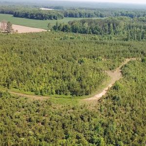 Photo #7 of SOLD property in Off Brink Road, Emporia, VA 97.0 acres