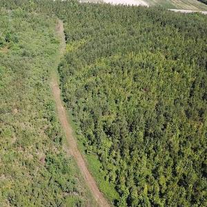 Photo #8 of SOLD property in Off Brink Road, Emporia, VA 97.0 acres