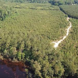 Photo #9 of SOLD property in Off Brink Road, Emporia, VA 97.0 acres