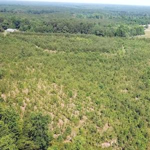 Photo #10 of SOLD property in Off Brink Road, Emporia, VA 97.0 acres