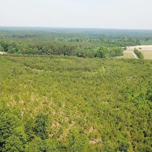 Photo #11 of SOLD property in Off Brink Road, Emporia, VA 97.0 acres
