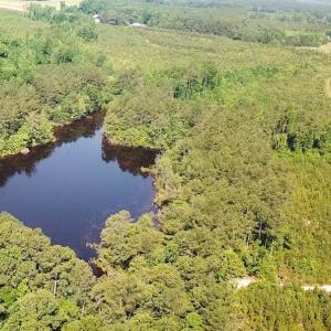 Photo #14 of SOLD property in Off Brink Road, Emporia, VA 97.0 acres