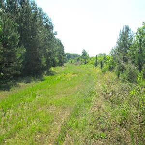Photo #18 of SOLD property in Off Brink Road, Emporia, VA 97.0 acres