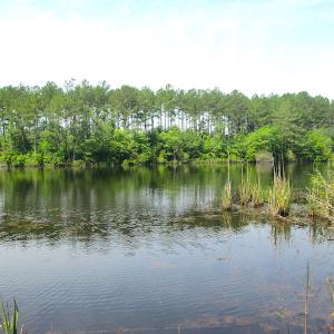 Photo #26 of SOLD property in Off Brink Road, Emporia, VA 97.0 acres