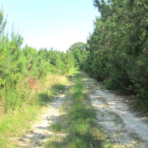 Photo #27 of SOLD property in Off Brink Road, Emporia, VA 97.0 acres
