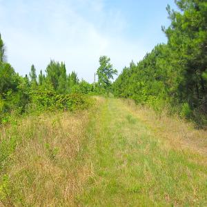 Photo #28 of SOLD property in Off Brink Road, Emporia, VA 97.0 acres