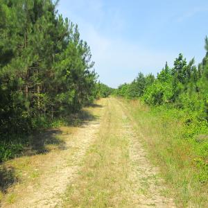 Photo #29 of SOLD property in Off Brink Road, Emporia, VA 97.0 acres