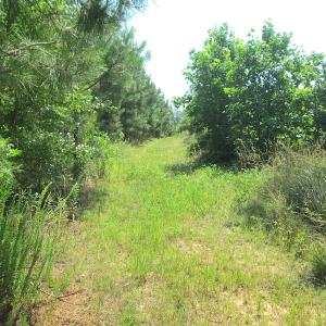 Photo #30 of SOLD property in Off Brink Road, Emporia, VA 97.0 acres