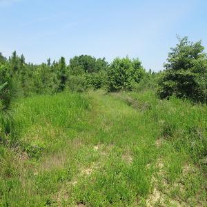 Photo #31 of SOLD property in Off Brink Road, Emporia, VA 97.0 acres