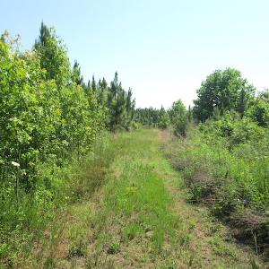 Photo #32 of SOLD property in Off Brink Road, Emporia, VA 97.0 acres
