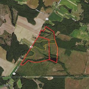 Photo #1 of SOLD property in Off Brink Road, Emporia, VA 97.0 acres