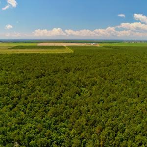 Photo #9 of Off Hwy 264, Swan Quarter, NC 252.0 acres
