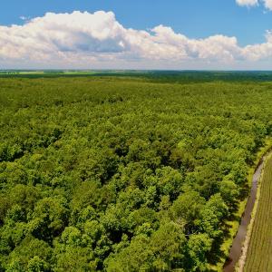 Photo #16 of Off Hwy 264, Swan Quarter, NC 252.0 acres