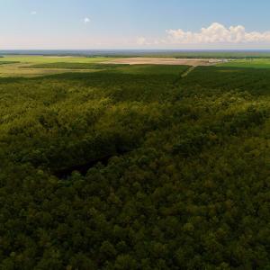 Photo #20 of Off Hwy 264, Swan Quarter, NC 252.0 acres