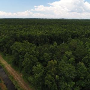 Photo #35 of Off Hwy 264, Swan Quarter, NC 252.0 acres