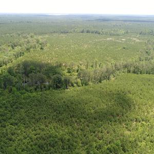 Photo #2 of SOLD property in Off Liberty Hall Road, King and Queen, VA 187.0 acres