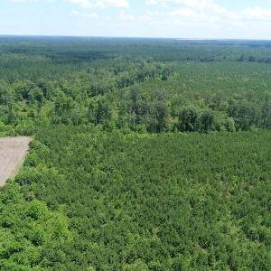 Photo #5 of SOLD property in Off Liberty Hall Road, King and Queen, VA 187.0 acres