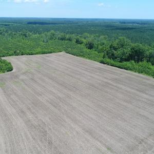 Photo #6 of SOLD property in Off Liberty Hall Road, King and Queen, VA 187.0 acres