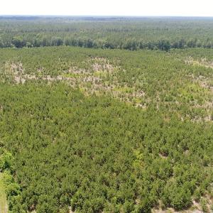 Photo #7 of SOLD property in Off Liberty Hall Road, King and Queen, VA 187.0 acres