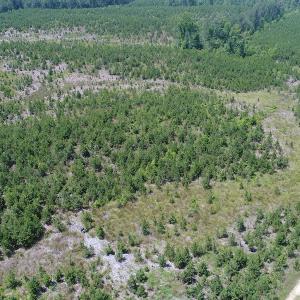 Photo #8 of SOLD property in Off Liberty Hall Road, King and Queen, VA 187.0 acres