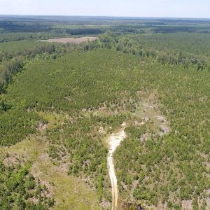 Photo #9 of SOLD property in Off Liberty Hall Road, King and Queen, VA 187.0 acres
