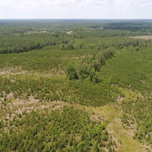 Photo #12 of SOLD property in Off Liberty Hall Road, King and Queen, VA 187.0 acres