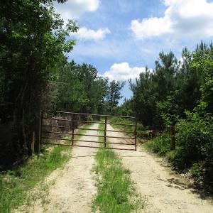 Photo #19 of SOLD property in Off Liberty Hall Road, King and Queen, VA 187.0 acres