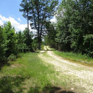 Photo #23 of SOLD property in Off Liberty Hall Road, King and Queen, VA 187.0 acres