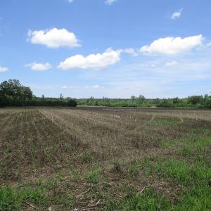 Photo #27 of SOLD property in Off Liberty Hall Road, King and Queen, VA 187.0 acres