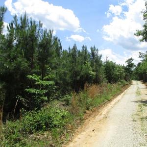 Photo #30 of SOLD property in Off Liberty Hall Road, King and Queen, VA 187.0 acres