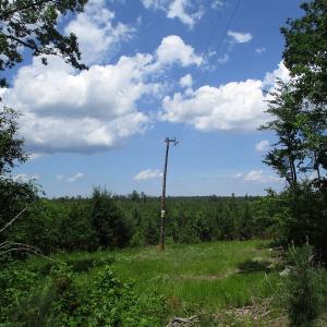 Photo #33 of SOLD property in Off Liberty Hall Road, King and Queen, VA 187.0 acres